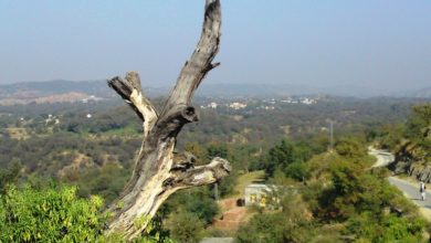 Kallar Syedan; Residents of Daud Shah Haqani claim back their land from Waqf board