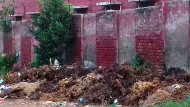 Gujar Khan; Fears of student health after dung is spread around girls high school in Jatli