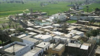 Kallar Syedan; A row over crops being destroyed leads to two women and child being beaten in village Mangloora