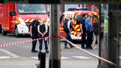 France; Around 31 Pakistani national found entering illegally in a truck