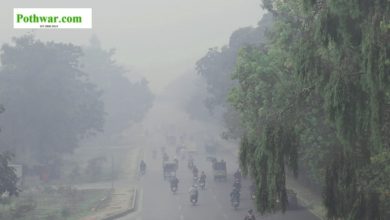 Kallar Syedan: “Severe Fog and Cold Grips Kallar Syedan, Resembles Other Regions Across the Country”