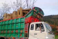 Kahuta: Forest Department Files Case After Illegal Tree Cutting