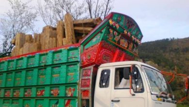 Kallar Syedan Police Seizes Illegal Timber, Forest Department Imposes 40,000 Rupees Fine