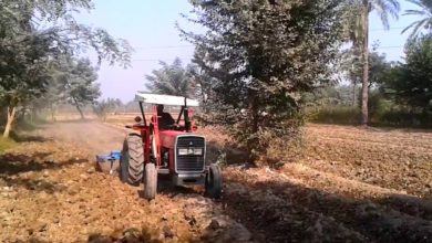 Kallar Syedan; Assistant Director Agriculture (Extension) Kallar Syedan Basharat Mehmood Awan speaks to the media on Farmer’s Day