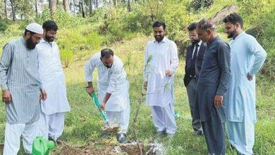 Kahuta: Awareness should be raised on the importance and usefulness of forests through plantation campaign in the new generation