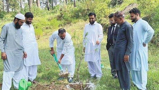 Kahuta: Awareness should be raised on the importance and usefulness of forests through plantation campaign in the new generation