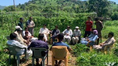 Kallar Syedan: “Land Selection Underway for Wheat Exhibition Plots in 2023/2024”