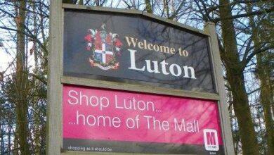 London: Bedbugs hit Luton, council receives calls