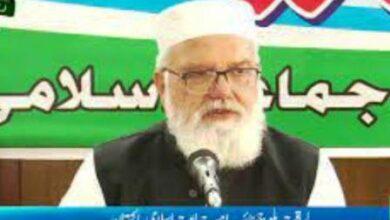 Kallar Syedan: Overseas Pakistanis fear even buying a plot here that it will be encroached upon, Liaquat Baloch