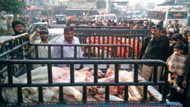 Rawat: “Punjab Food Authority Takes Action: 3600 Kilograms of Hazardous Meat Seized”
