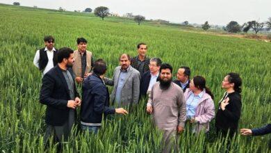 Kallar Syedan: A delegation from the Chinese Academy of Agricultural Sciences, Beijing, China, visited Choa Khalsa