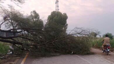 Gujar Khan; Devastating storm hits Gujar Khan, Kallar Syedan and surrounding region