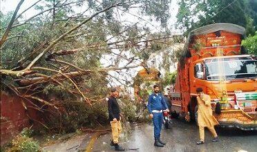 Kahuta: Heavy stormy rain and hailstorm in Kahota city, severe flooding in rivers, trees uprooted