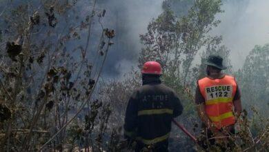 Kahuta: A huge forest fire broke out in the Bhaghar Shareef forest area