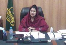 Kahuta AC and CMO Approve Rs. 40 Million Grant for City Development Projects