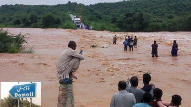 Gujar Khan: Bhaati Dam breach wreaks havoc in surrounding villages in Domeli