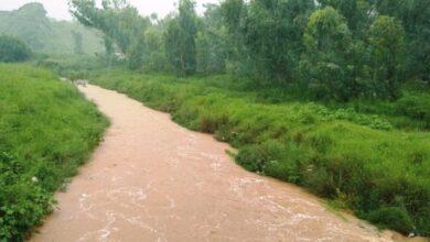 Kahuta: Torrential Rain Causes Severe Flooding in Dera Mushtaq Shah City and Surrounding Areas