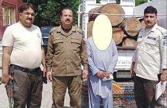 Kahuta: Patrolling Police Bior Successfully Seize Two Vehicles Loaded with Illegally Cut Timber Worth Millions