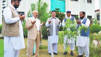 Kahuta: Tree Plantation Campaign Launched at KIT Technical College in Dera Mushtaq Shah