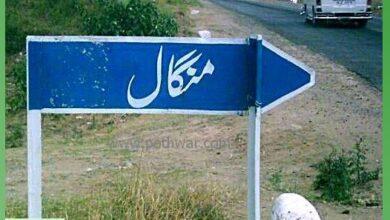 London: UK Resident Donates Water Filtration Plant Worth 4 Million for Hometown in Kallar Syedan