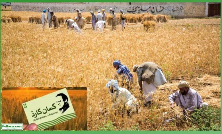 Kallar Syedan: Kisan Card Facilitation Center Established at Agriculture Office in Kahuta for Farmers’ Assistance