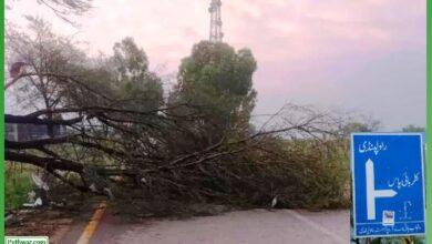 Kallar Syedan: Severe Storm Disrupts Power and Communication in Kallar Syedan