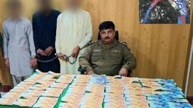 Gujar Khan: Mandra Police Arrests Three-Member Gang Involved in Cattle Theft, Recovers Stolen Cash and Livestock