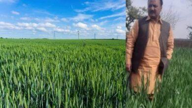 Kallar Syedan: Seminar on Boosting Wheat Production Held in Dhok Baba Gohar Ali, Choa Khalsa