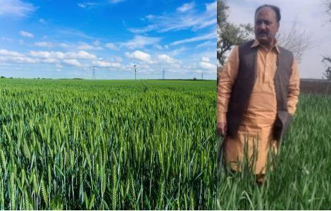 Kallar Syedan: Seminar on Boosting Wheat Production Held in Dhok Baba Gohar Ali, Choa Khalsa