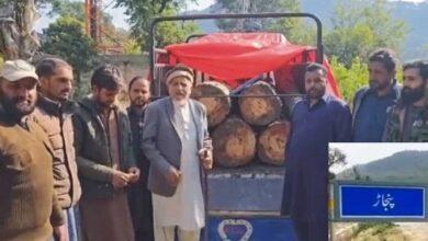 Kahuta: Forest Department’s Successful Operation: Timber Worth Millions Seized, Officer Commended