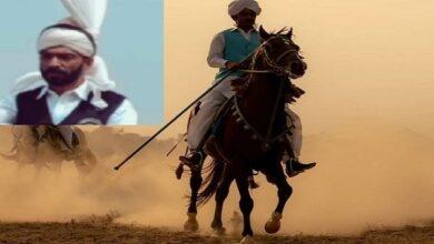 Gujar Khan: Horse Dies in Tragic Accident at Baba Shah Safeer Urs Festival in Sohawa; Rider Raja Gulfam Survives