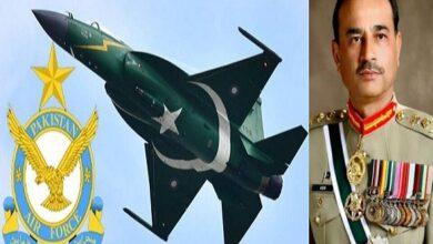 Kallar Syedan; “Pakistani Forces Earn Global Acclaim for Aerial Supremacy: PML-N Leader Praises Military Response to Indian Aggression”
