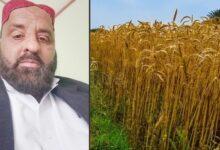 Kahuta Farmer Raja Muhammad Faisal Wins First Place in Wheat Yield Competition Across Rawalpindi Division