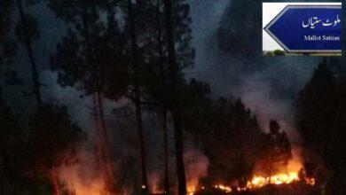 Kahuta: Devastating Forest Fire Engulfs Several Kilometers in Kotli Sattian’s Malot Area Kahuta: Devastating Forest Fire Engulfs Several Kilometers in Kotli Sattian’s Malot Area