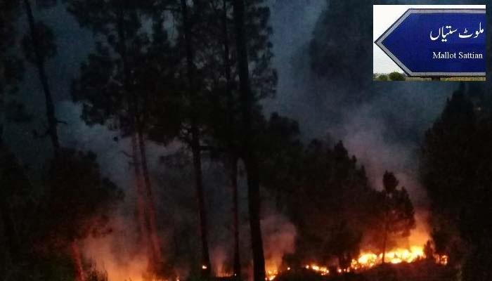 Kahuta: Devastating Forest Fire Engulfs Several Kilometers in Kotli Sattian’s Malot Area