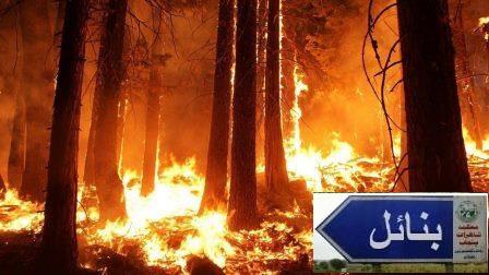 Kallar Syedan: Massive Forest Fire Rages for Days in Pharri Near River Jhelum; Authorities Remain Inactive