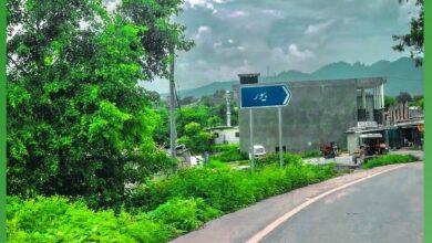 Kahuta: Timber Smugglers Break Barrier from AJK, Caught with Truck Full of Illegal Wood in Beor