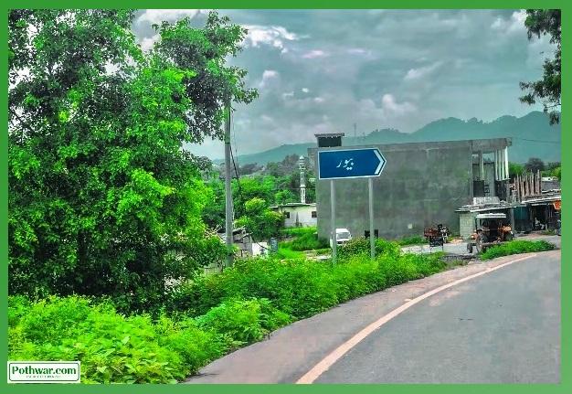 Kahuta: Timber Smugglers Break Barrier from AJK, Caught with Truck Full of Illegal Wood in Beor