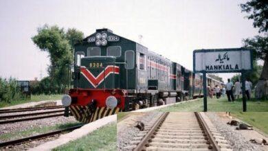 Kallar Syedan: Over a Dozen Goats Killed, Several Injured as Herd Hit by Train Near Mankiala