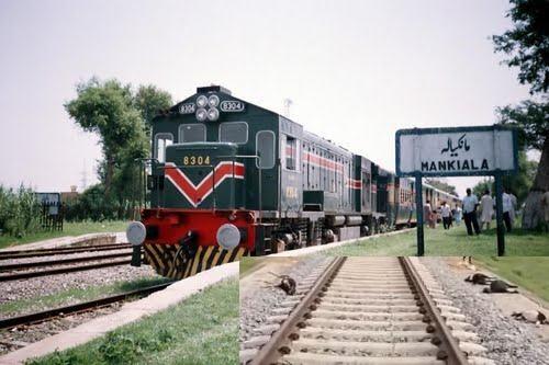 Kallar Syedan: Over a Dozen Goats Killed, Several Injured as Herd Hit by Train Near Mankiala