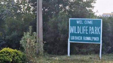 Gujar Khan: Media Attacked at Wildlife Park During Probe into Deaths of Deer and Pregnant Lioness