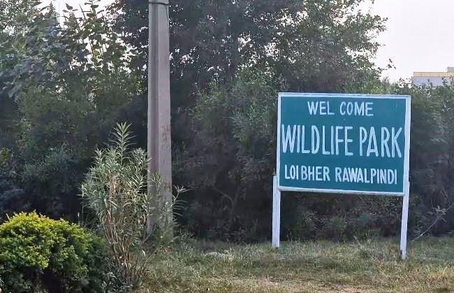 Gujar Khan: Media Attacked at Wildlife Park During Probe into Deaths of Deer and Pregnant Lioness