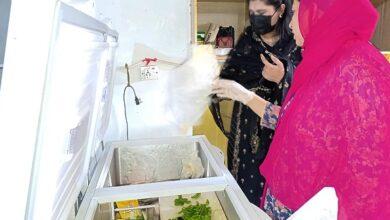 Kahuta: Major Crackdown on Sweet and Bakery Shops: Insects Found in Chicken Piece, Heavy Fines Imposed