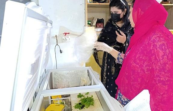 Kahuta: Major Crackdown on Sweet and Bakery Shops: Insects Found in Chicken Piece, Heavy Fines Imposed