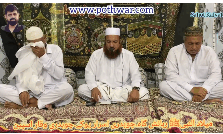 نواب کیٹل فارم۔بکرے۔دُمبے۔بکریاں خریدیں سہوٹ بدھال