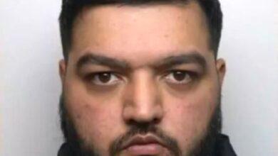 London: Woman Dies Months After Being Hit by Speeding Car, Driver Armaan Afsar Jailed for 10 Years