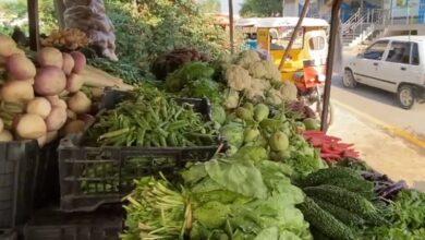 Kallar Syedan: Rising Fuel, Power, and Fertilizer Costs Drive Vegetable and Fruit Prices Beyond Public Reach