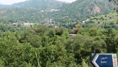 Kallar Syedan: Arsonist set fire to British Pakistani car in his native village Sehr