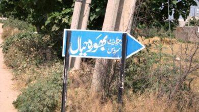 Kallar Syedan: Mother and Son Injured in Jackal Attack in Bhora Hayal; Animal Killed