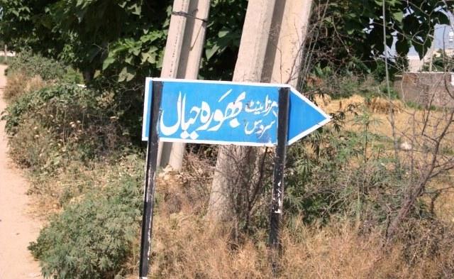 Kallar Syedan: Mother and Son Injured in Jackal Attack in Bhora Hayal; Animal Killed